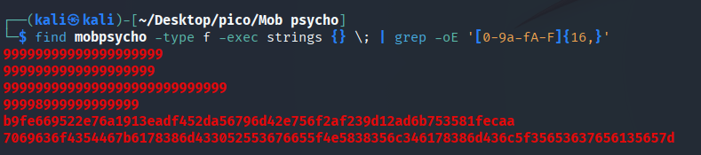 basic search kali output