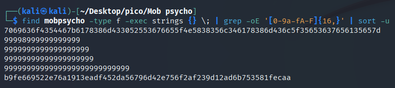 adding sort -u kali output