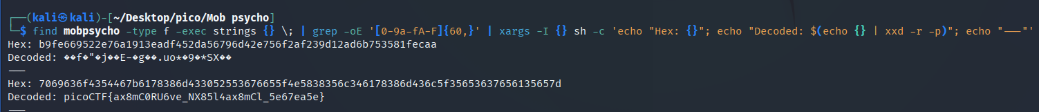 flag find-->decode-->show